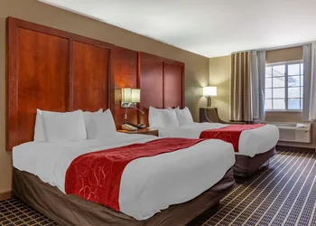 Comfort Suites Delavan - Lake Geneva Area hotel thumbnail 4