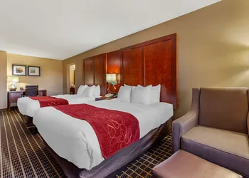 Comfort Suites Delavan - Lake Geneva Area hotel thumbnail 5