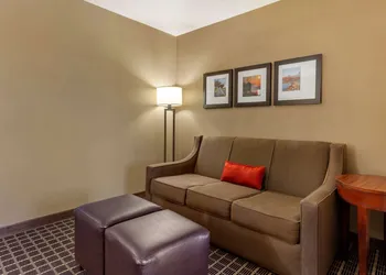 Comfort Suites Delavan - Lake Geneva Area hotel thumbnail 8