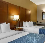 Comfort Inn & Suites Amarillo East hotel detail image 4