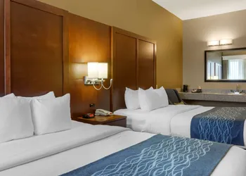 Comfort Inn & Suites Amarillo East hotel thumbnail 4