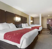 Comfort Suites and Conference Center hotel detail image 7