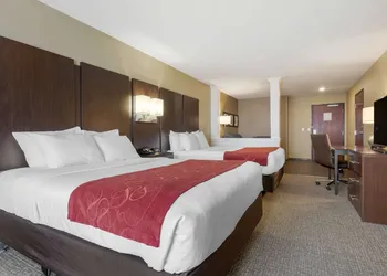 Comfort Suites and Conference Center hotel thumbnail 7