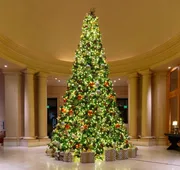 The Resort at Pelican Hill hotel detail image 3