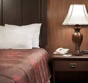 Castle Inn and Suites hotel detail image 5