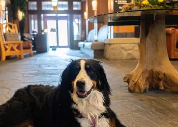 Nita Lake Lodge hotel thumbnail 2