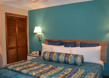 Sun Viking Lodge hotel thumbnail 6