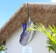 Latitude 26 Waterfront Resort & Marina hotel detail image 7