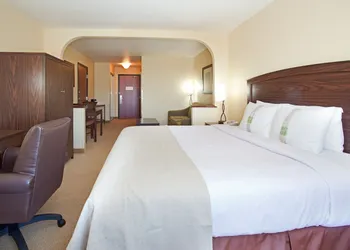 Holiday Inn Denver-Parker-E470/Parker Road by IHG hotel thumbnail 8