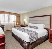 Wyndham Houston near NRG Park/Medical Center hotel detail image 7