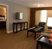 Wyndham Houston at Reliant Park & Medical Center hotel detail image 4
