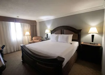Wyndham Houston at Reliant Park & Medical Center hotel thumbnail 8