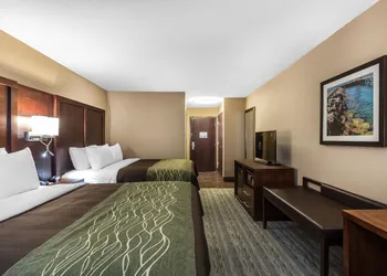 Comfort Inn Bay City - Riverfront hotel thumbnail 5