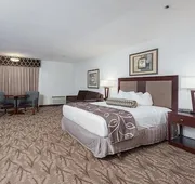 Shilo Inn Suites - Idaho Falls hotel detail image 4