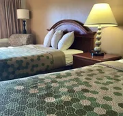 SilverStone Lite hotel detail image 4