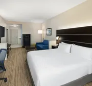 Holiday Inn Express & Suites Valdosta West - Mall Area by IHG hotel detail image 5
