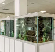 Hilton Garden Inn Outer Banks/Kitty Hawk hotel detail image 4