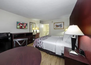 Red Roof Inn Ellenton – Bradenton NE hotel thumbnail 6