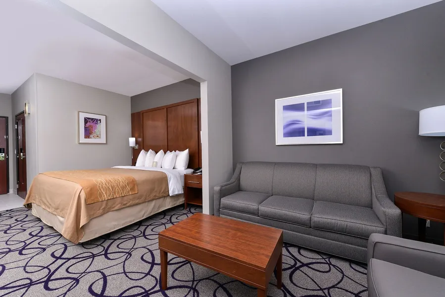 Comfort Inn & Suites Frisco - Plano hotel detail image 6