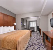 Comfort Inn & Suites Frisco - Plano hotel detail image 7