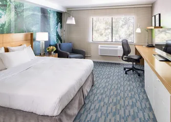 The Domain Hotel hotel thumbnail 6