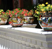 Blue Seas Courtyard hotel detail image 7