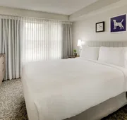 Sonesta ES Suites Anaheim Resort Area hotel detail image 7