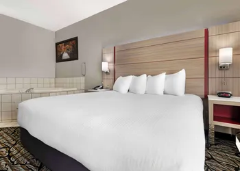 Best Western Plus Albert Lea I-90/I-35 Hotel hotel thumbnail 5