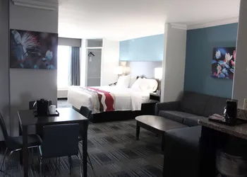 Best Western Medical Center North Inn & Suites Near Six Flags hotel thumbnail 4