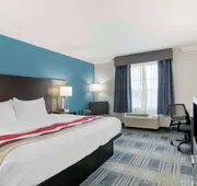 Best Western Medical Center North Inn & Suites Near Six Flags hotel detail image 7