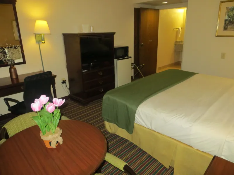 Quality Inn Stone Mountain hotel detail image 6
