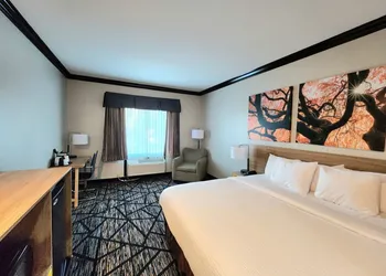 Days Inn by Wyndham Baton Rouge/I-10 hotel thumbnail 6