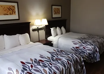 Red Roof Inn & Suites Midland hotel thumbnail 5