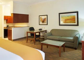 Holiday Inn Express & Suites Lufkin South by IHG hotel thumbnail 7