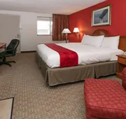 Ramada by Wyndham Odessa Near University of Texas Permian hotel detail image 3