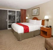 Ramada by Wyndham Odessa Near University of Texas Permian hotel detail image 4