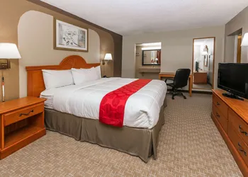 Ramada by Wyndham Odessa Near University of Texas Permian hotel thumbnail 8