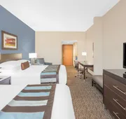 Wingate by Wyndham - Sylvania/Toledo hotel detail image 5
