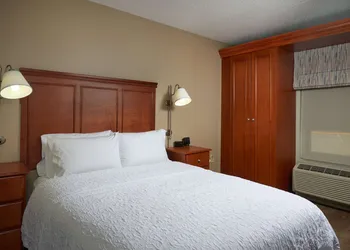 Hampton Inn Ann Arbor-South hotel thumbnail 8