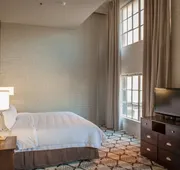 Hampton Inn & Suites New Orleans Convention Center hotel detail image 4