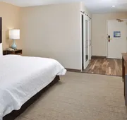 Hampton Inn Carbondale hotel detail image 4
