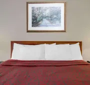 Express Inn hotel detail image 3