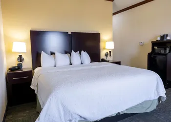 Hampton Inn Alice hotel thumbnail 7