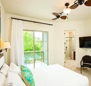 The Resort at Schlitterbahn hotel detail image 4