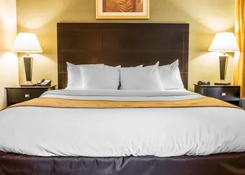 Comfort Inn Whitehall near Michigan's Adventure hotel thumbnail 4
