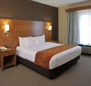 Comfort Suites Hotel and Conference Center hotel detail image 7