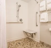 Holiday Inn Express Hotel & Suites Wilmington-University Ctr by IHG hotel detail image 7