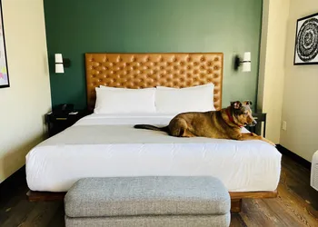 The Lloyd Stamford, Tapestry Collection by Hilton hotel thumbnail 4