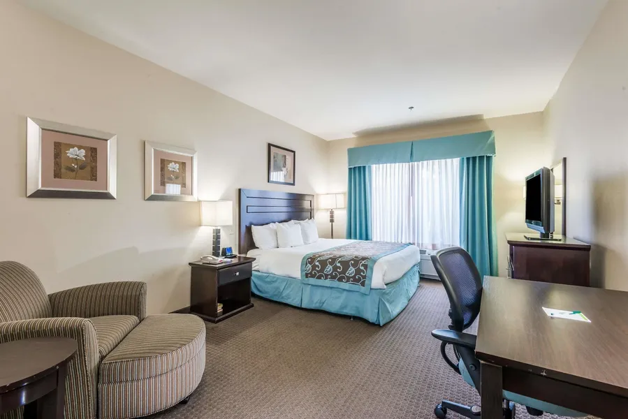 Wingate by Wyndham New Braunfels hotel detail image 6