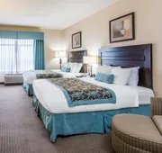 Wingate by Wyndham New Braunfels hotel detail image 7